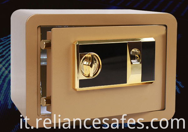 Security Biometric Fingerprint safe